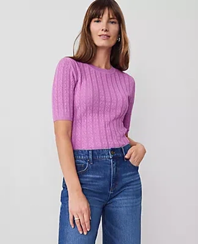 Ann Taylor Petite Scalloped Pointelle Sweater In Purple