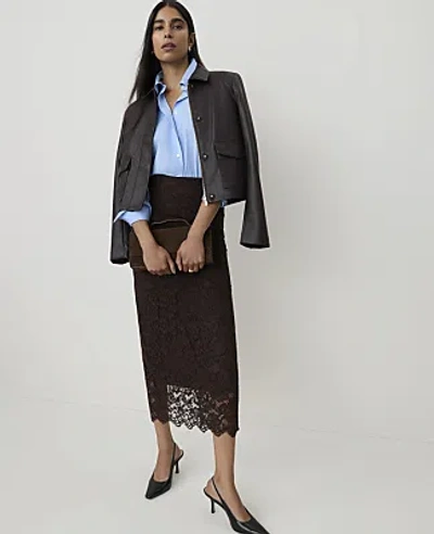Ann Taylor Petite Scalloped Trim Lace Midi Skirt In French Mocha