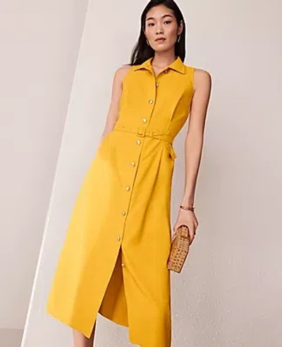 Ann Taylor Petite Shirt Collar Flare Midi Dress In Spring Marigold