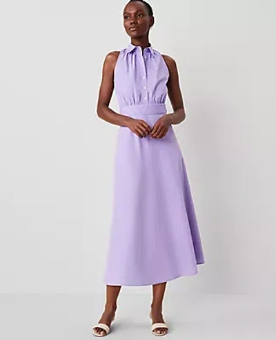 Ann Taylor Petite Sleeveless Flare Shirtdress In Radiant Amethyst
