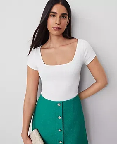 Ann Taylor Petite Square Neck Tee In White
