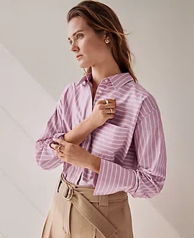 Ann Taylor Petite Striped Oversized Pocket Shirt In Clean Lilac