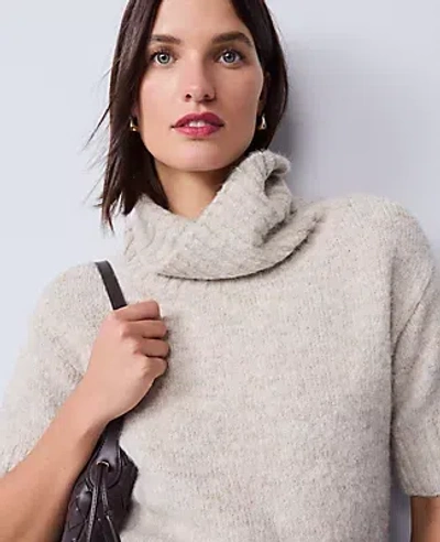 Ann Taylor Petite Turtleneck Elbow Sleeve Sweater Tee In White
