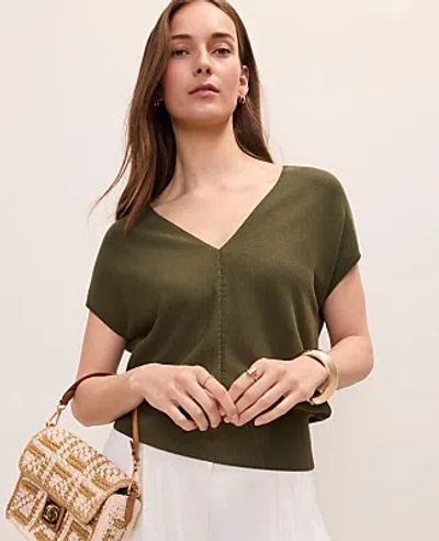 Ann Taylor Petite V-neck Sweater