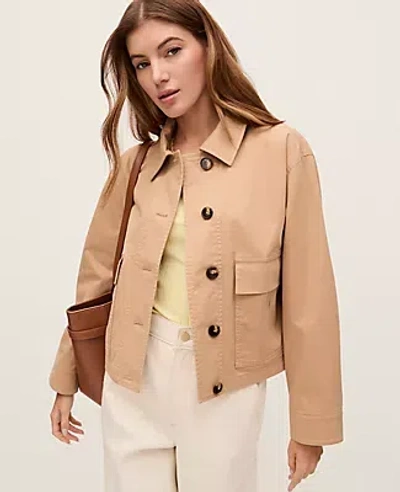 Ann Taylor Petite Weekend Collection Shirt Jacket In Brown