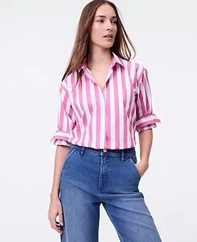 Ann Taylor Petite Weekend Collection Striped Oversized Shirt In Pink