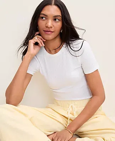 Ann Taylor Petite Weekend Pointelle Crew Neck Tee In White