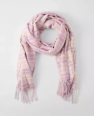 Ann Taylor Plaid Fringe Scarf In Purple
