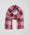 Ann Taylor Plaid Scarf In Foxglove