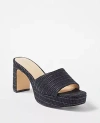 Ann Taylor Platform Mule Sandals In Black