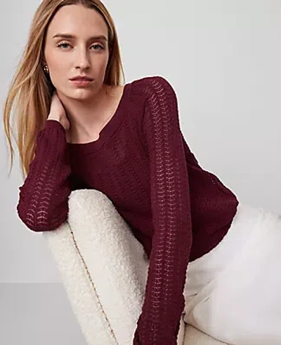 Ann Taylor Pointelle Boatneck Sweater In Burgundy