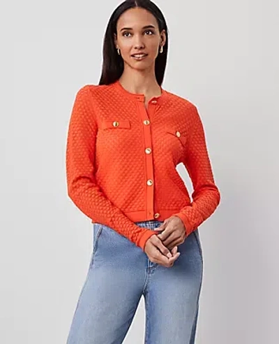 Ann Taylor Pointelle Cardigan In Deep Flame Orange