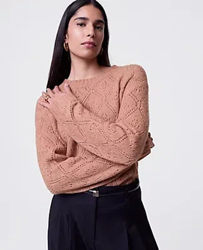 Ann Taylor Pointelle Crew Neck Sweater In Pink