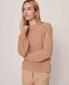Ann Taylor Pointelle Mock Neck Sweater In Brown