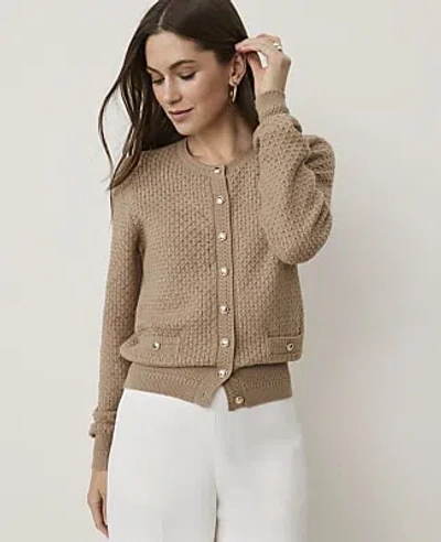 Ann Taylor Pointelle Stitch Cardigan In Cashew Crunch