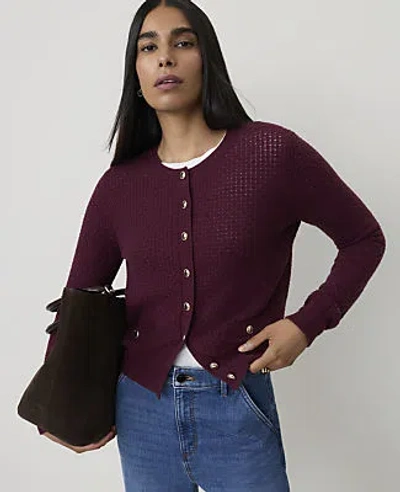 Ann Taylor Pointelle Stitch Cardigan In Tinto Red