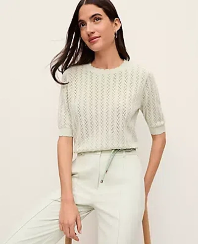 Ann Taylor Pointelle Sweater Tee In Green