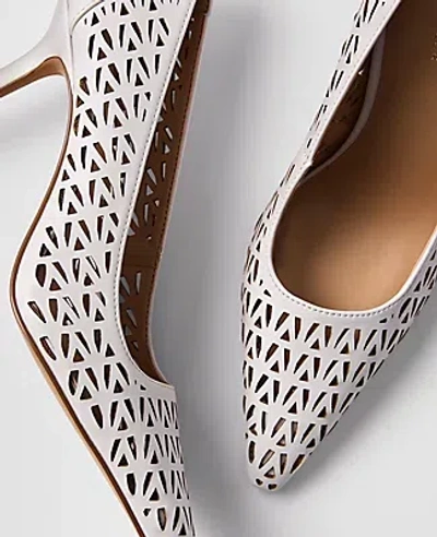 Ann Taylor Pointy Toe Perforated Pump In Multi