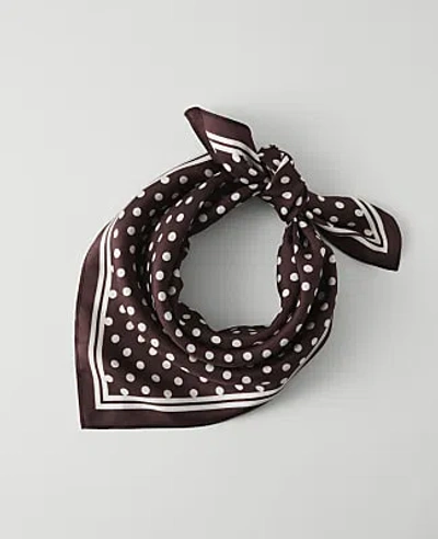 Ann Taylor Polka Dot Silk Scarf In French Mocha