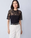 Ann Taylor Ponte Lace Trim Top In Black
