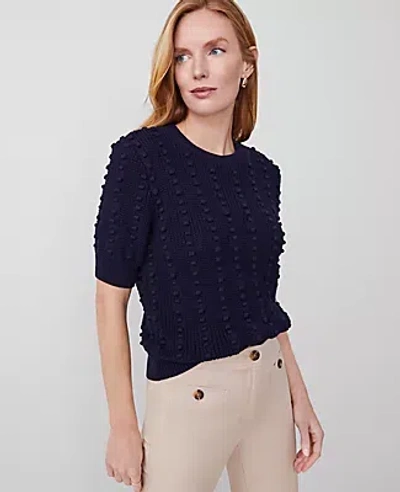 Ann Taylor Popcorn Stitch Sweater Tee In Night Sky