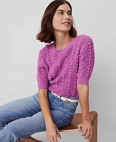 Ann Taylor Popcorn Stitch Sweater Tee In Orchid Glow