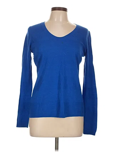 Pre-owned Ann Taylor Pullover Sweater In Blue
