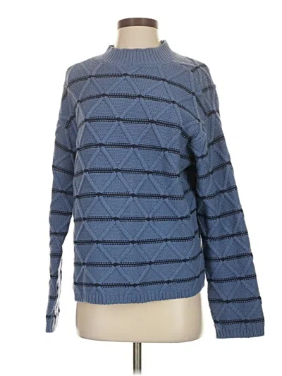 Pre-owned Ann Taylor Pullover Sweater In Blue