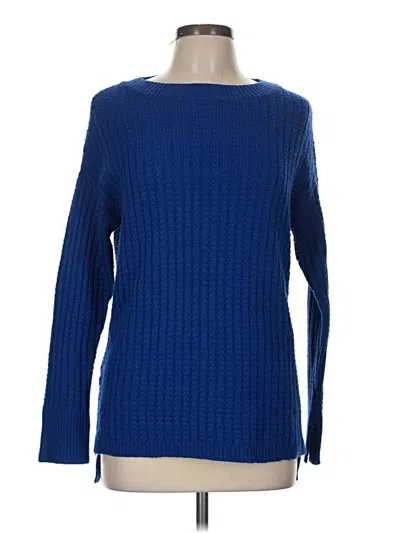 Pre-owned Ann Taylor Pullover Sweater In Blue
