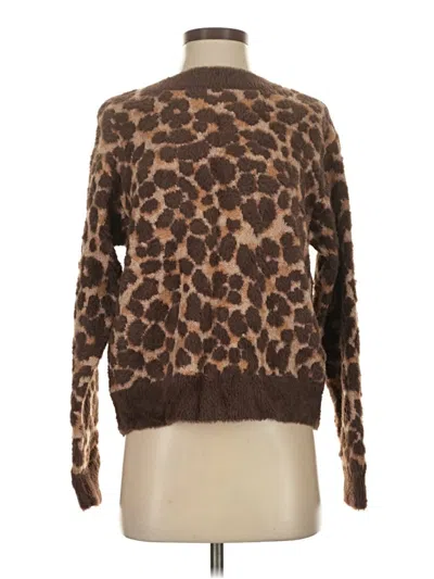 Pre-owned Ann Taylor Pullover Sweater In Brown