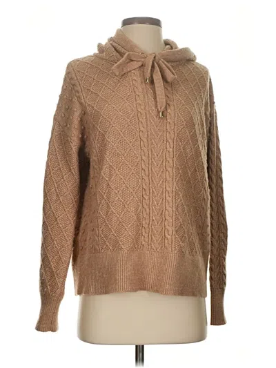 Pre-owned Ann Taylor Pullover Sweater In Brown