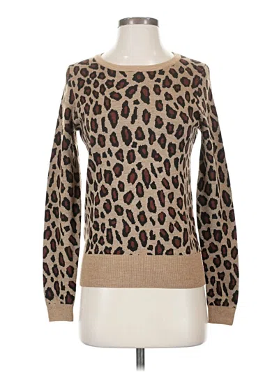 Pre-owned Ann Taylor Pullover Sweater In Brown
