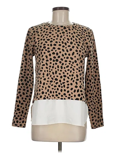 Pre-owned Ann Taylor Pullover Sweater In Tan
