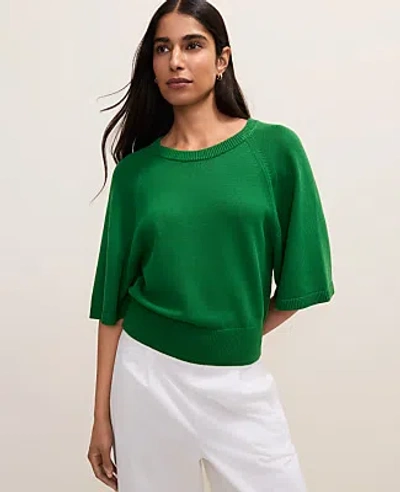 Raglan Crew Neck Sweater In Green from ANN TAYLOR