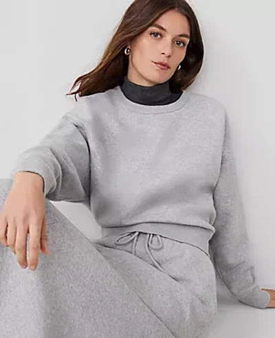 Ann Taylor Raglan Sweatshirt In Grey Cloud Heather