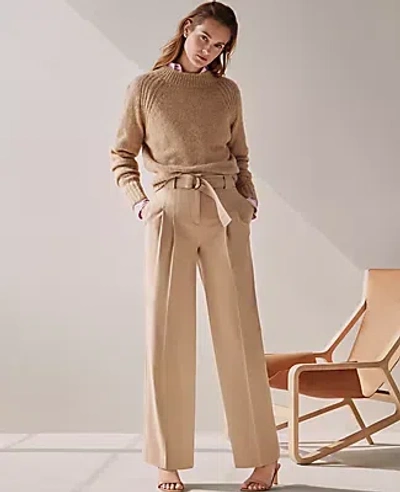 Ann Taylor Raglan Wedge Sweater In Toasted Oat