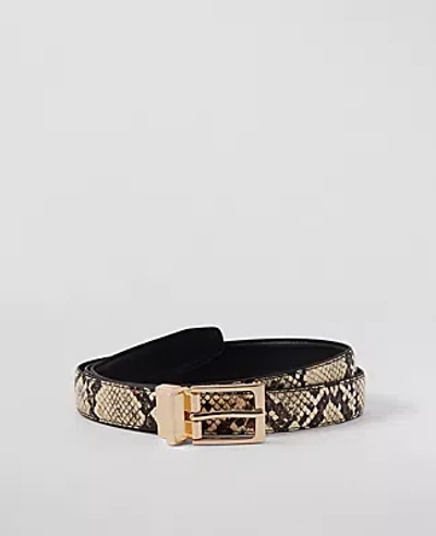 Ann Taylor Reversible Belt In Black Multi