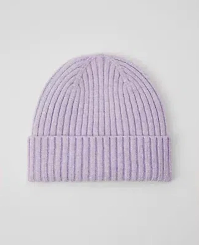 Ann Taylor Ribbed Beanie In Purple Lilac