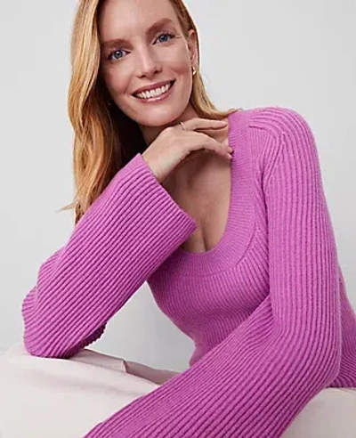 Ann Taylor Ribbed Scoop Neck Sweater In Orchid Glow