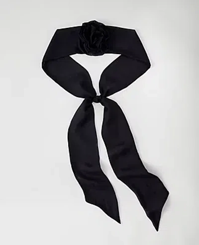 Ann Taylor Rosette Scarf In Black