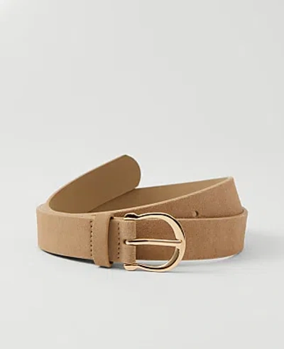 Ann Taylor Round Buckle Suede Belt In Brown