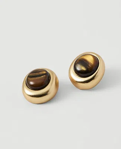 Ann Taylor Round Stone Stud Earrings In Gold