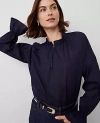 Ann Taylor Ruffle Raglan Popover Top In Night Sky
