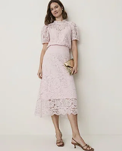 Ann Taylor Scalloped Trim Lace Midi Skirt In Mother Of Pearl