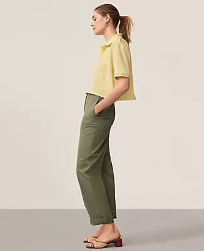 Ann Taylor Seamed Straight Ankle Pant In Green Kalamata