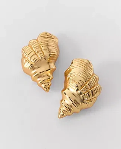 Ann Taylor Shell Stud Earrings In Gold