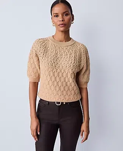 Ann Taylor Shimmer Cable Sweater Tee In Brown