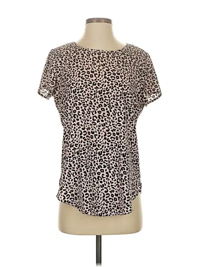 Pre-owned Ann Taylor Short Sleeve T-shirt In Brown