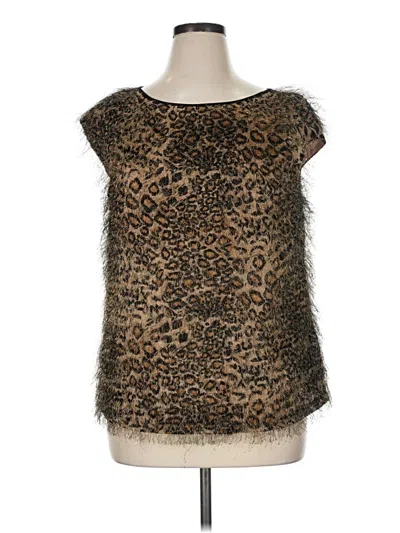 Pre-owned Ann Taylor Short Sleeve Top Brown Scoop Neck Tops