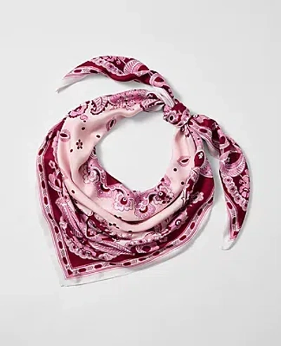 Ann Taylor Silk Scarf In Purple